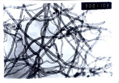 TEM image of our industrial grade multi walled carbon nanotubes 10-30nm OD