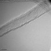 Multi Walled Carbon Nanotube Arrays