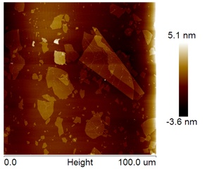 Single Layer Graphene Oxide 1-20um