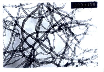 OH Functionalized industrial grade multi walled carbon nanotubes 10-30nm