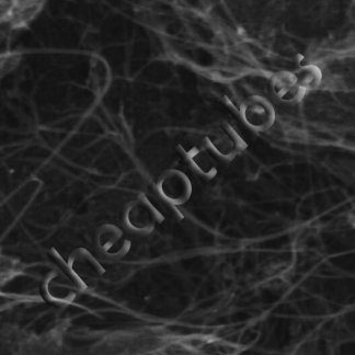 Single Walled Carbon Nanotubes