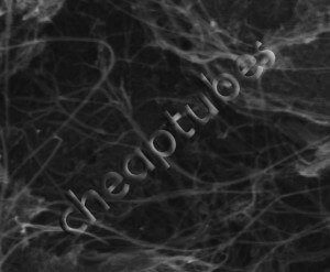 sem-image-of-single-walled-carbon-nanotubes