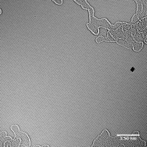 monolayer-graphene-film-tem-image