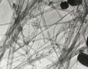 single-walled-double-walled-carbon-nanotubes-60