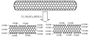 Functionalized-Carbon-Nanotubes-Structure